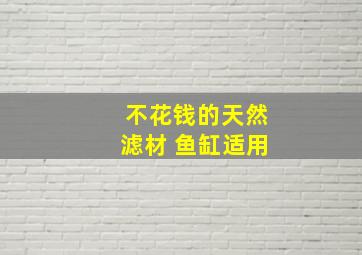 不花钱的天然滤材 鱼缸适用